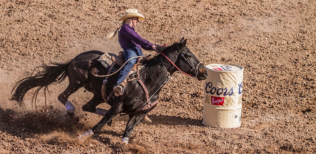 Surety Consulting at Rodeo / Agricultural Exhibition Center Photo