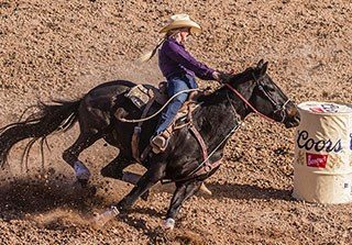 Surety Consulting at Rodeo / Agricultural Exhibition Center Photo