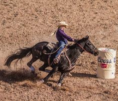 Beacon Helps Leading Surety With Construction Consulting Assignment at Rodeo Facility in Western Tennessee Thumb