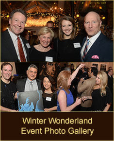 Networking in a "Winter Wonderland"  ABA Fidelity & Surety Winter Meeting 2016 Thumb